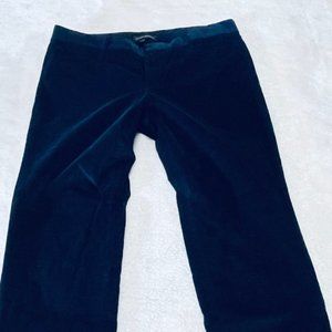 Banana Republic Navy Velvet Sloan Pant